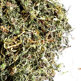 干蒲公英500g