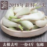 贵州新鲜藠头4斤装